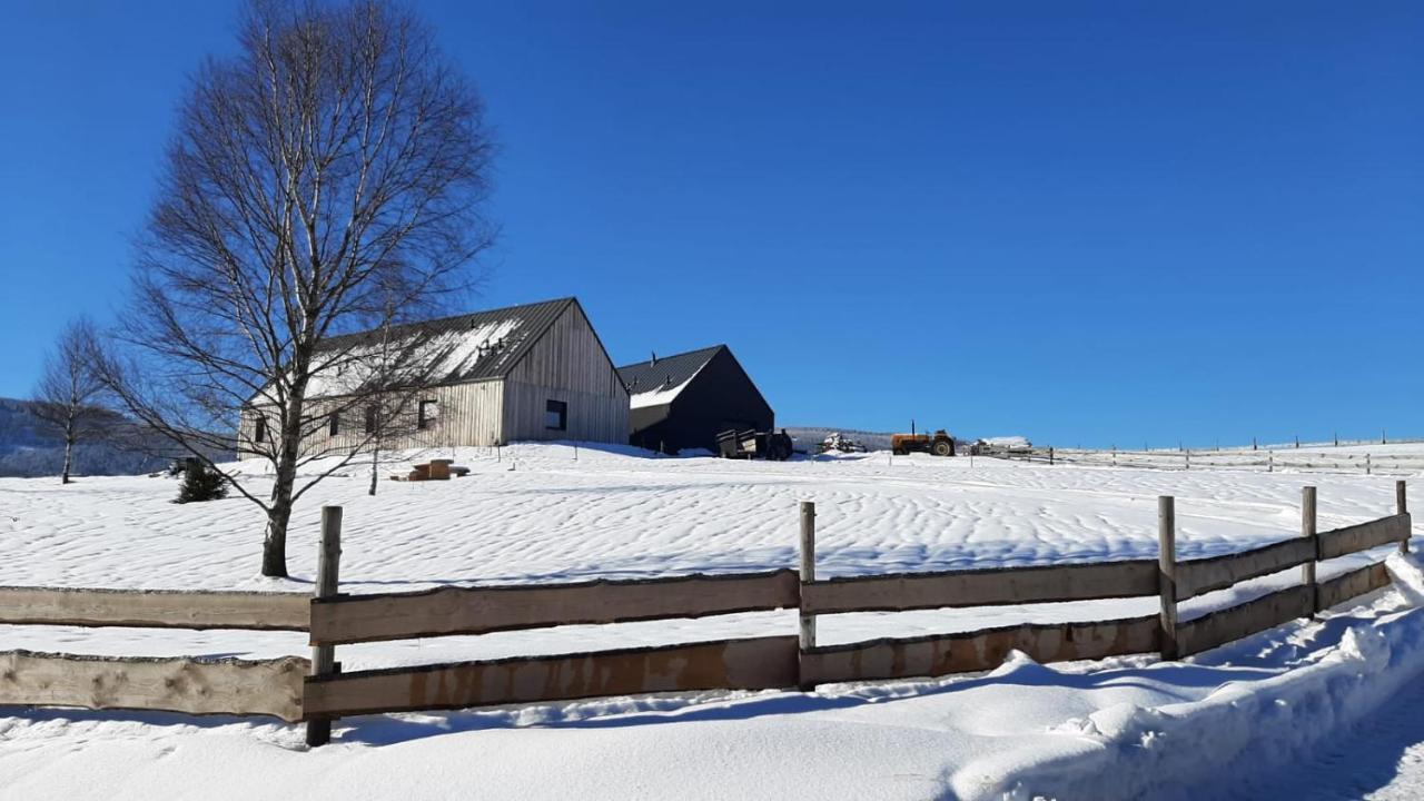 Wzgorze Owiec Sheep Hill Mostowice エクステリア 写真