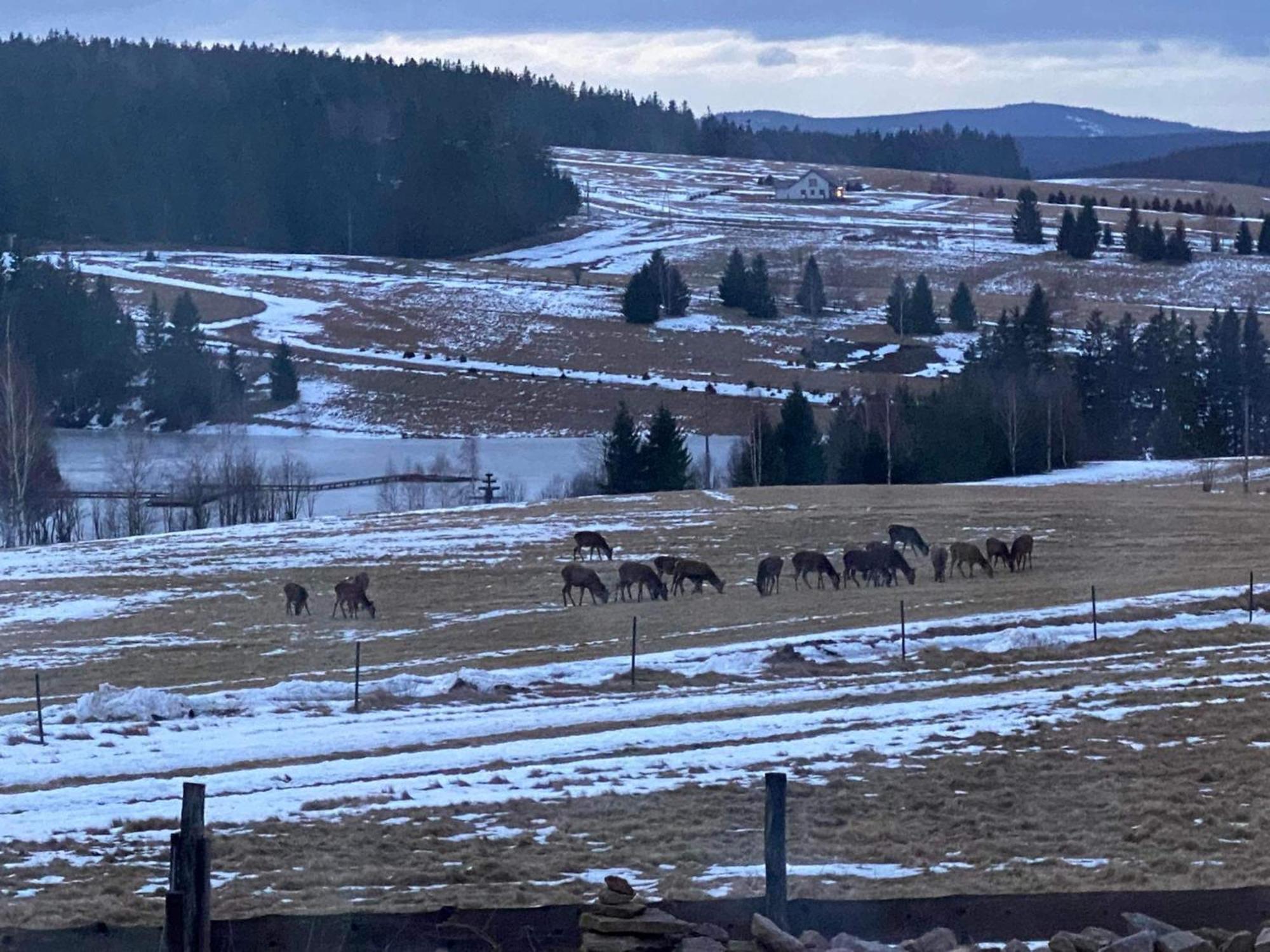 Wzgorze Owiec Sheep Hill Mostowice エクステリア 写真